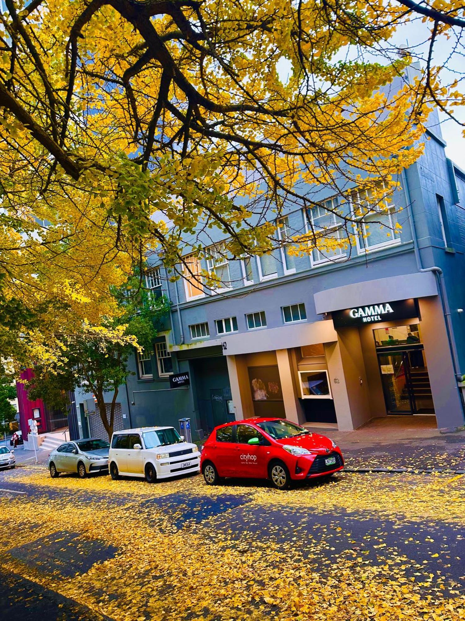 Gamma Hotel Auckland Exterior foto